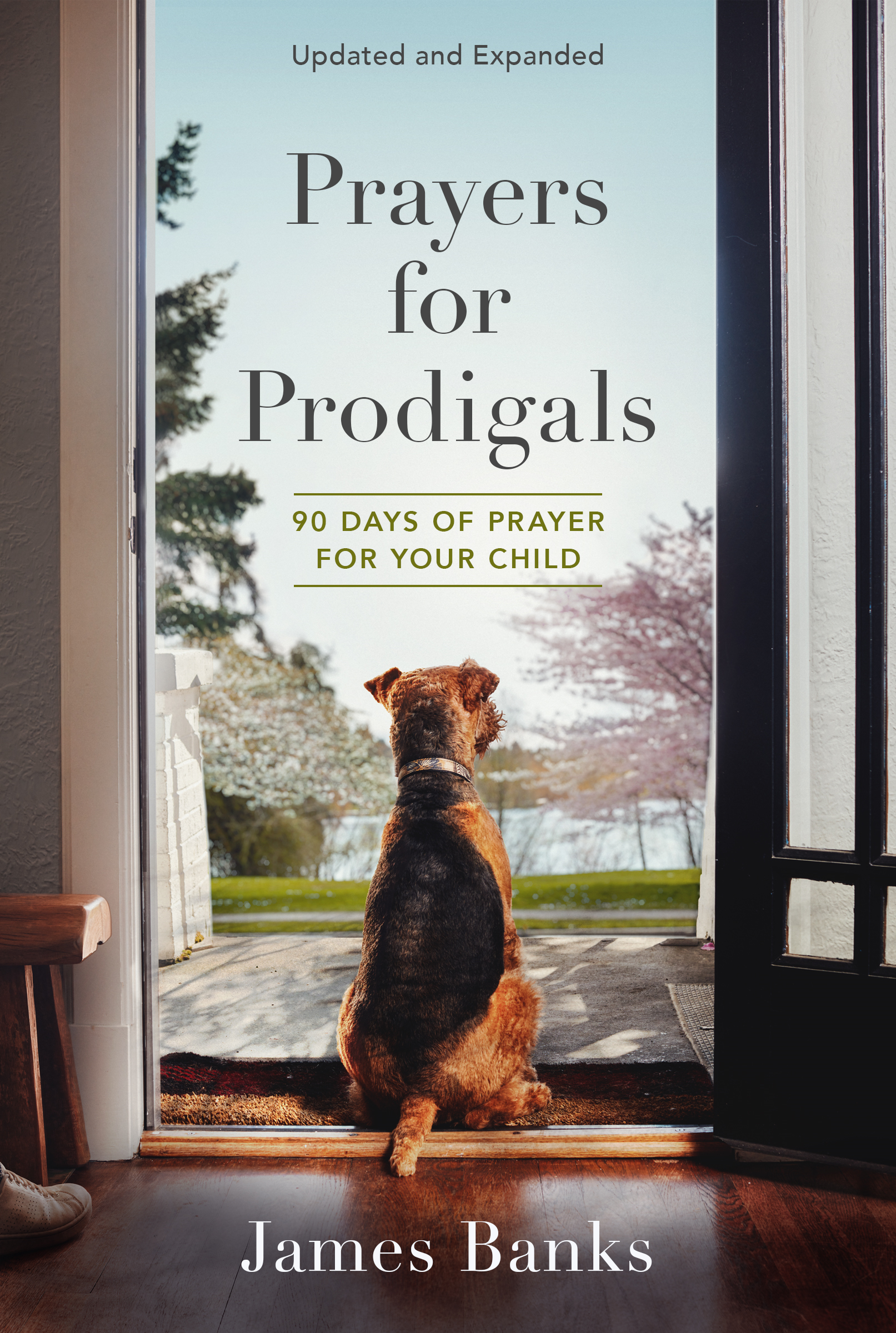 Prayer for Prodigals book