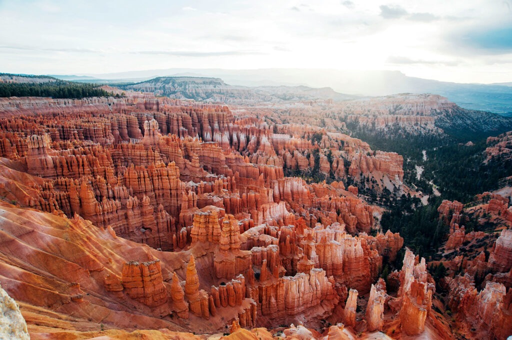 beautiful desert scape